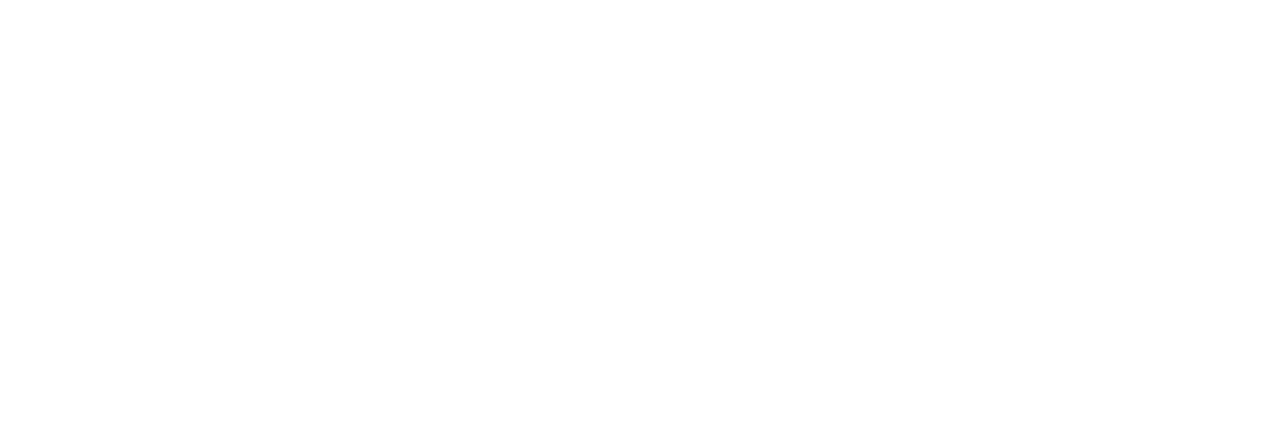 Neptune Shipping Agency Logo